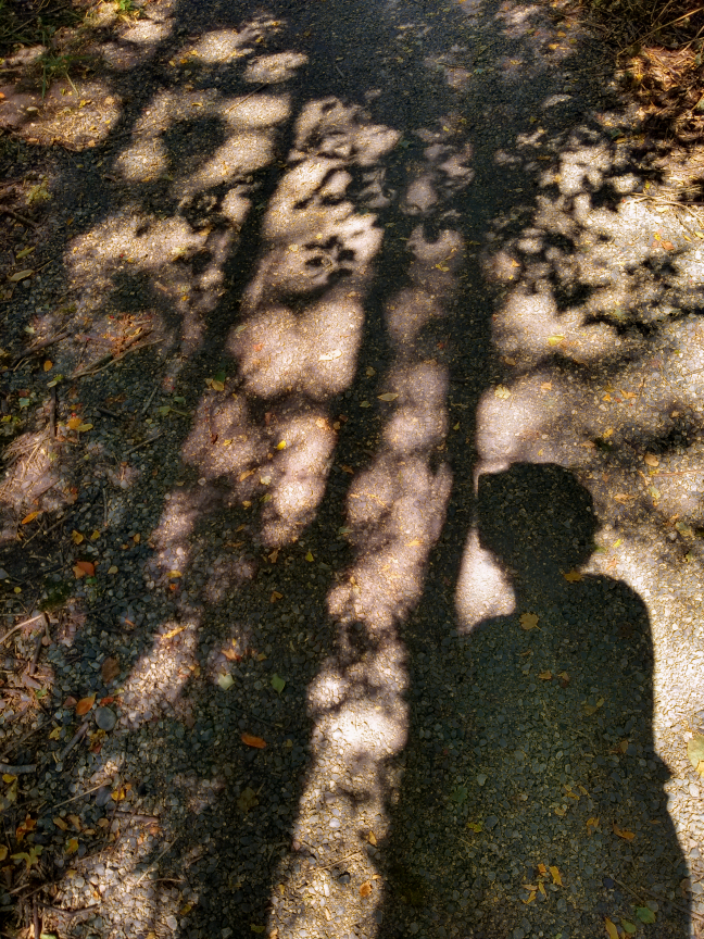 Photo of the artist's shadow